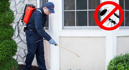 Çobanlar Fare İlaçlama böcek ilaçlama ve haşere kontrolü — ilaclama-tr.com
